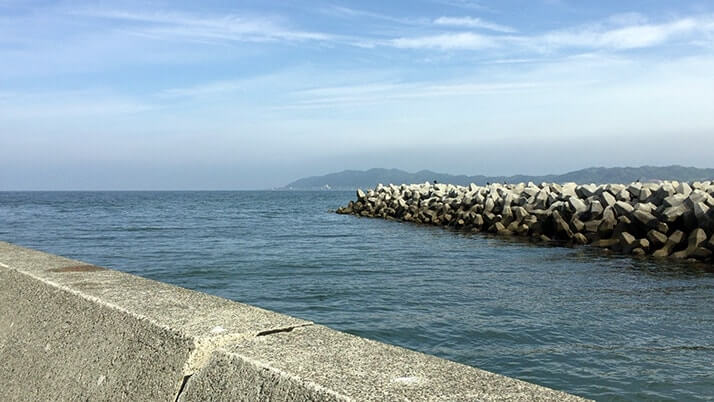 堤防釣りで70cmのヒラメが！千葉南館山での泳がせ釣りで大物GET