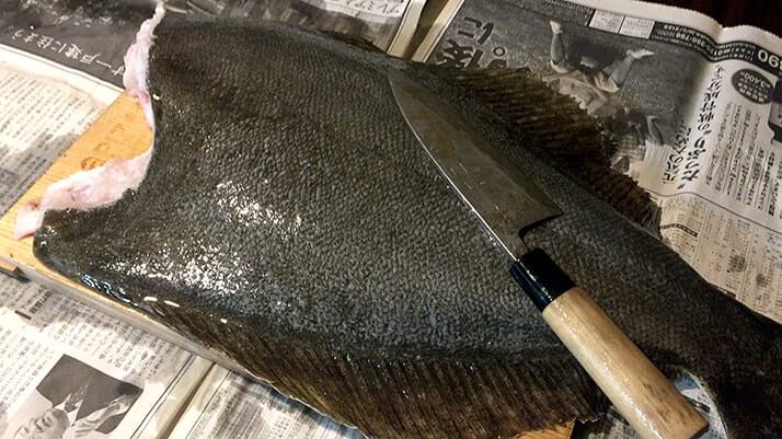 釣った特大ヒラメをさばく！刺身と寿司にして肝醤油で堪能